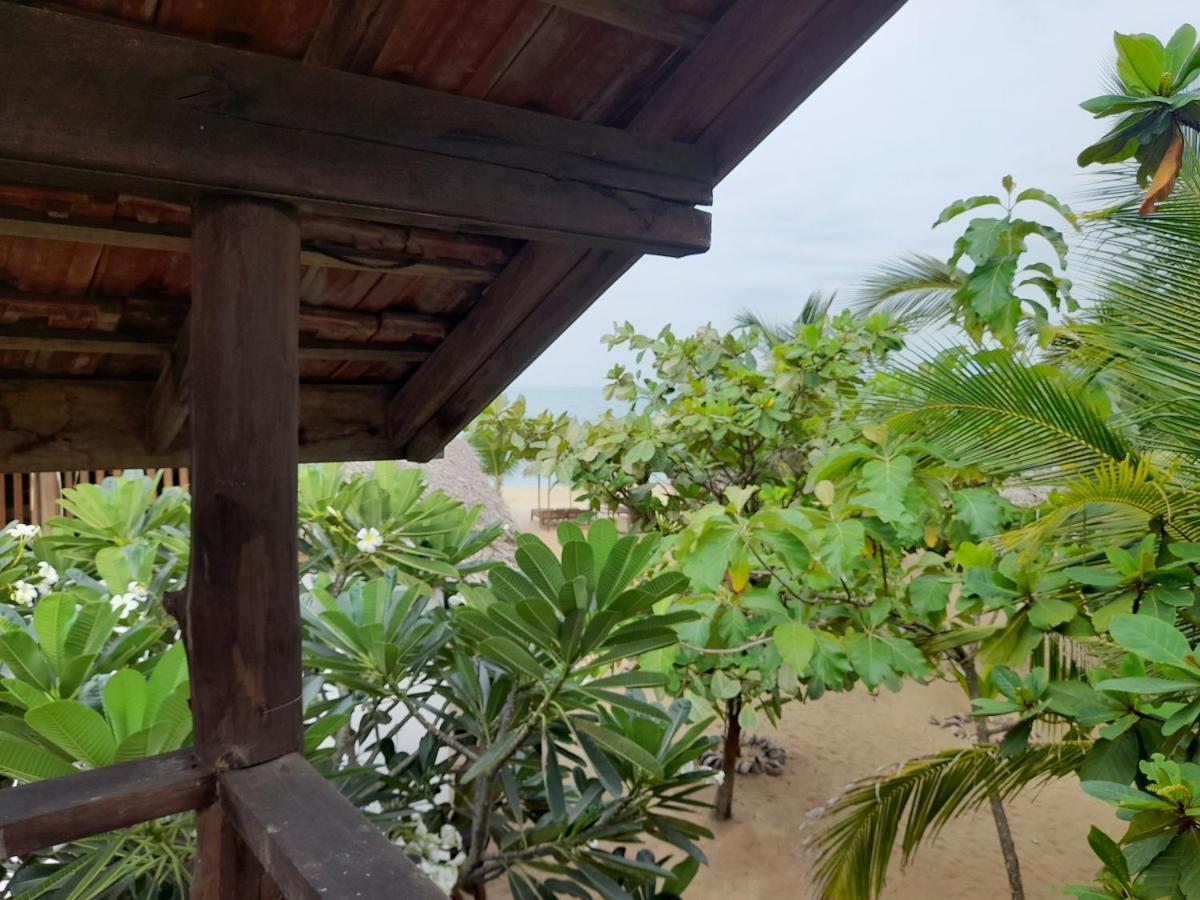 Golden Beach Chalets Аругам Бей Екстериор снимка