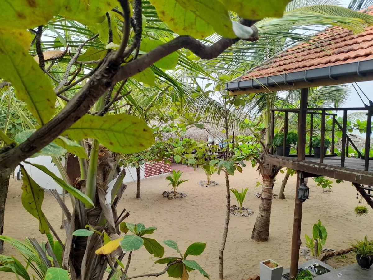 Golden Beach Chalets Аругам Бей Екстериор снимка