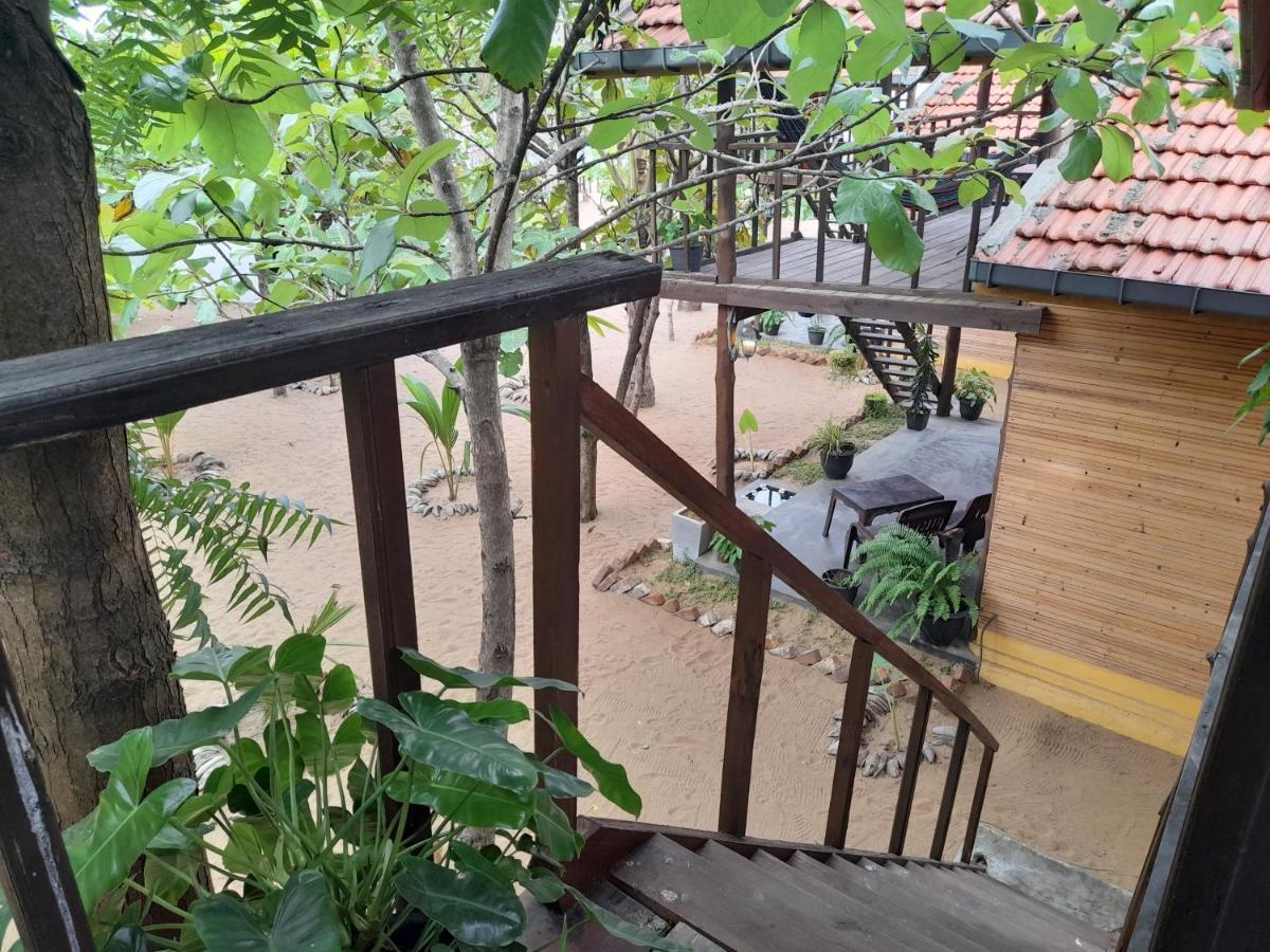 Golden Beach Chalets Аругам Бей Екстериор снимка