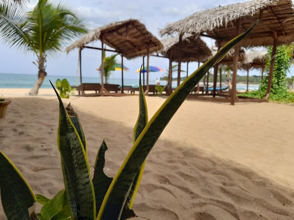 Golden Beach Chalets Аругам Бей Екстериор снимка