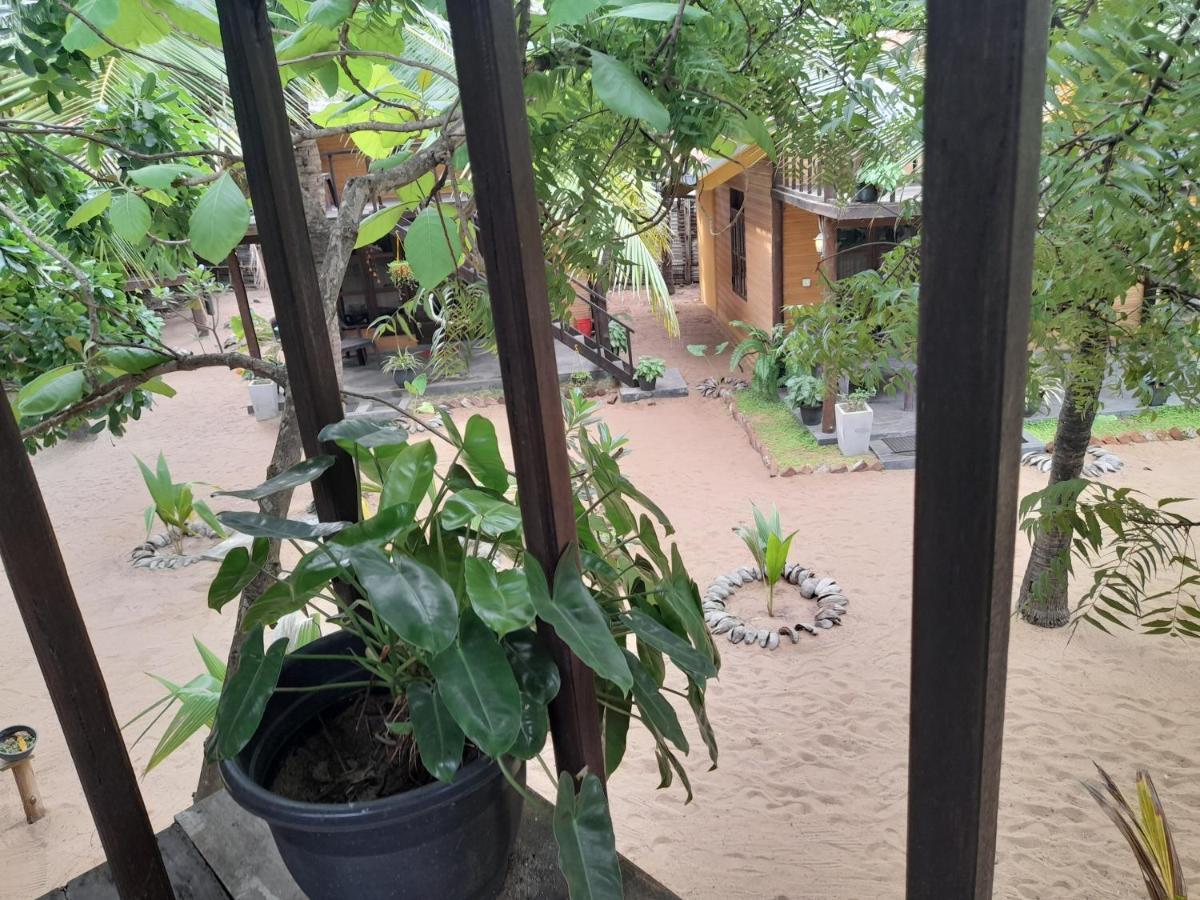 Golden Beach Chalets Аругам Бей Екстериор снимка