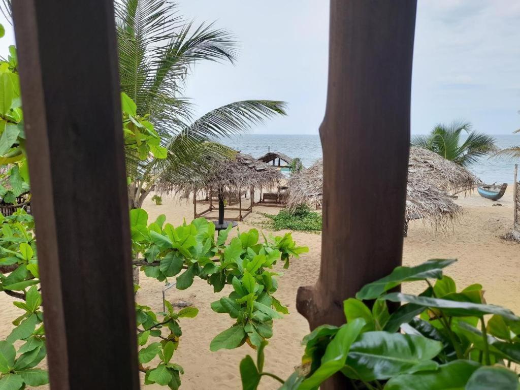 Golden Beach Chalets Аругам Бей Екстериор снимка
