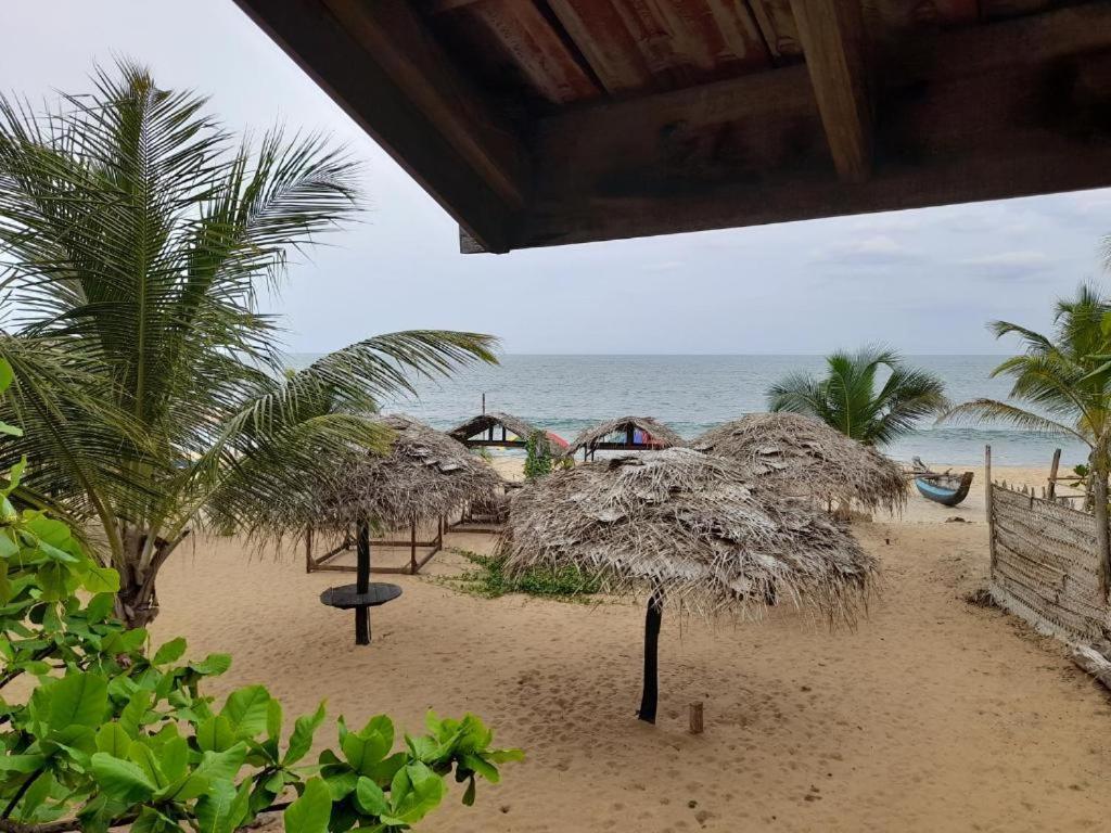 Golden Beach Chalets Аругам Бей Екстериор снимка